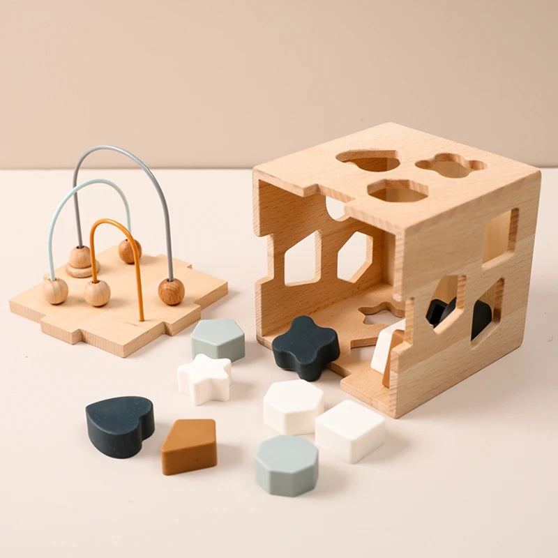 Geometric Blocks Shape Toy