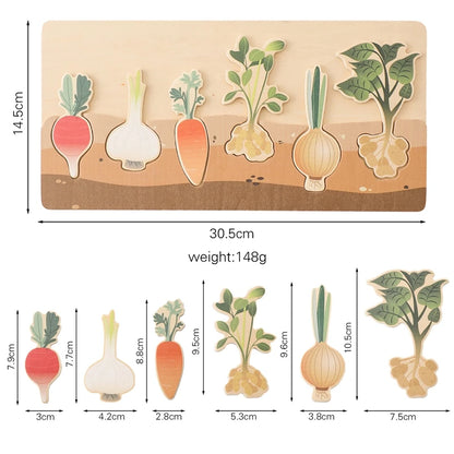 Vegetable Matching Puzzle