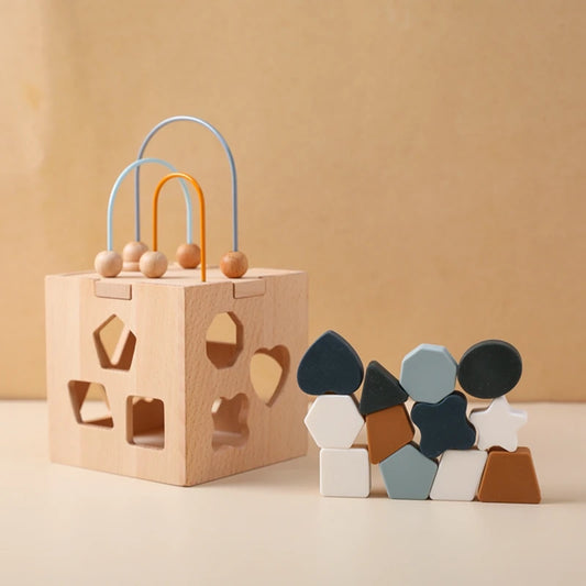 Geometric Blocks Shape Toy